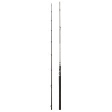 Canne Daiwa Exceler Casting-1-