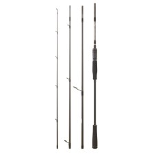 Canne Daiwa Exceler Mobile 2025-EX 904 HX HFS EF