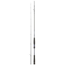 canne-daiwa-labrax-seabass-2-labsb702hfsaf.jpg