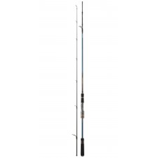 canne-daiwa-tournament-ags-10-tnags702hfscf.jpg