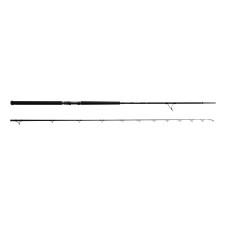 Canne Okuma F-15 Shore jigging