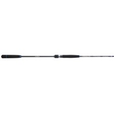 Canne Sakura Ryokan SW Spinning Micro Jig