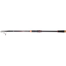 canne-telescopique-daiwa-crossfire-sl.jpg