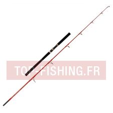 canne-tenryu-furrary-racing.jpg