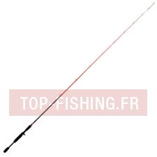 canne-tenryu-injection-bc-67mh.jpg