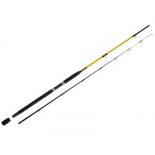 canne-wft-never-crack-downrigger-2m50.jpg