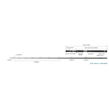 Canne Zenaq Glanz 2025_GB78