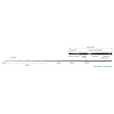 Canne Zenaq Glanz 2025_GB80