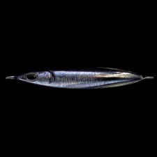 jig-zeake-s-bit-40g-084.jpg