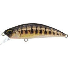 Leurre Duo Spearhead Ryuki 50SP_CCCZ431