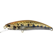 leurre-duo-spearhead-ryuki-60-s-39-accz114.jpg