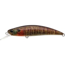 leurre-duo-spearhead-ryuki-70-s-50-ccc3357.jpg