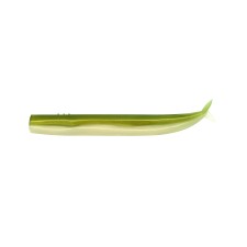 Leurre Fiiish Crazy Sand Eel 120mm-CSE5046