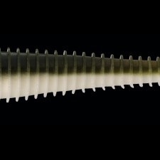 leurre-souple-keitech-swing-impact-fat-71mm-28-s21.jpg
