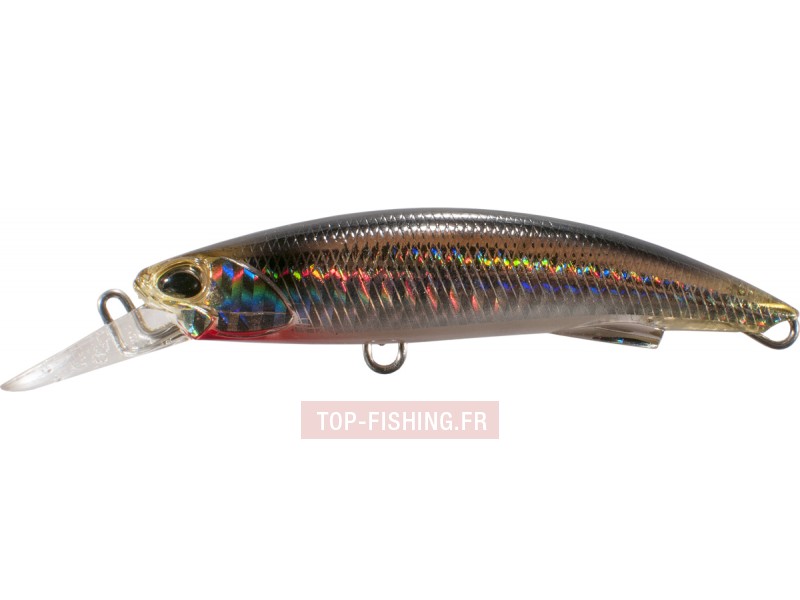 -leurre-rough-trail-blazin-anchois.jpg