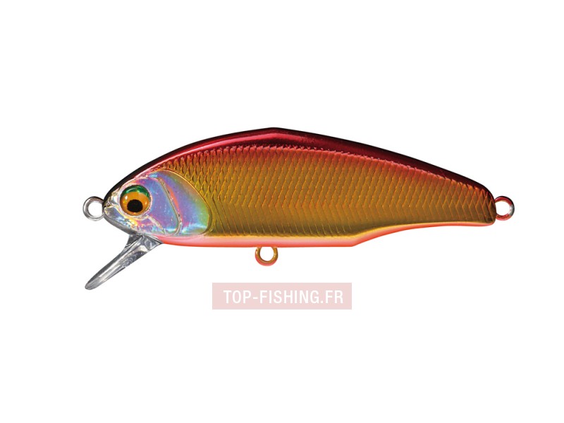 -leurre-smith-d-incite-4-gr-couleur-02.jpg
