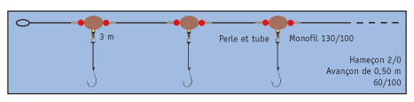 DESSINPLFL.jpg