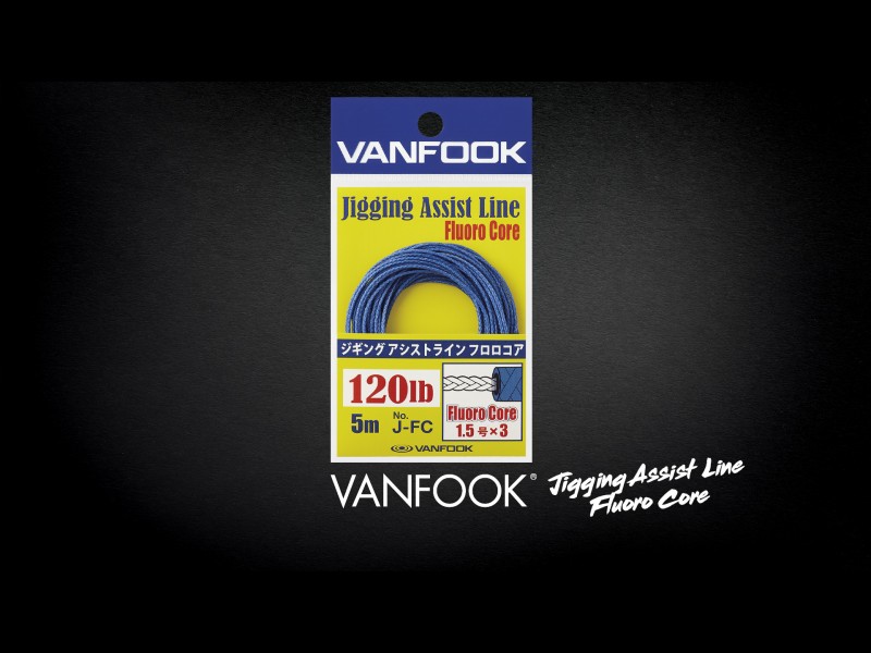 assist-line-vanfook-j-fc.jpg