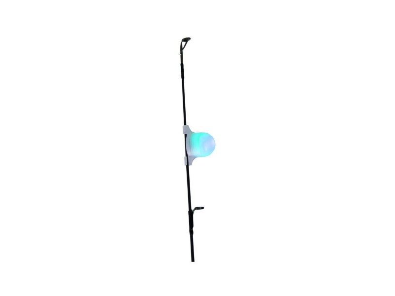 auto-light-tortue-bleu-2.jpg