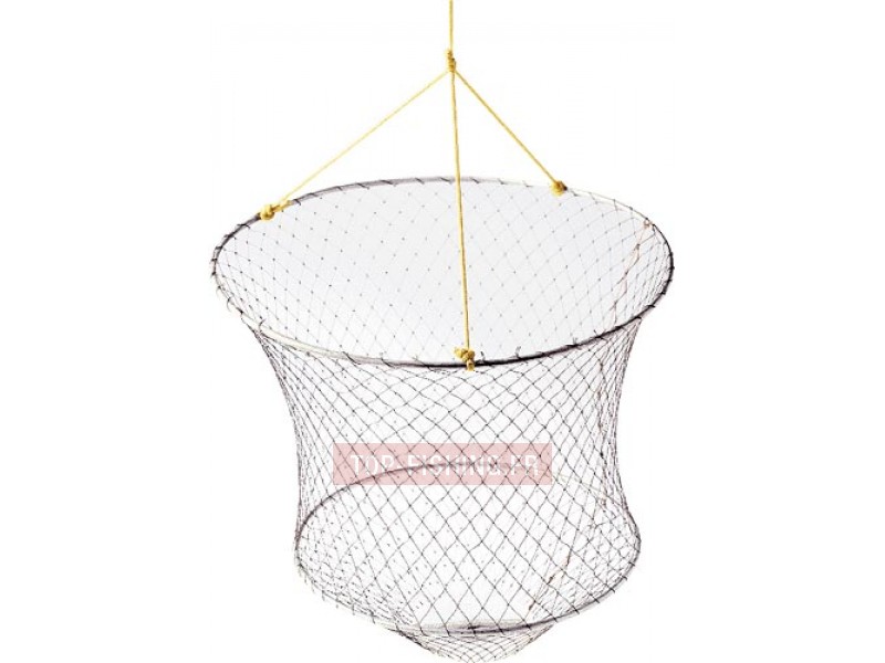 balance-o-ecrevisses-amiaud.jpg