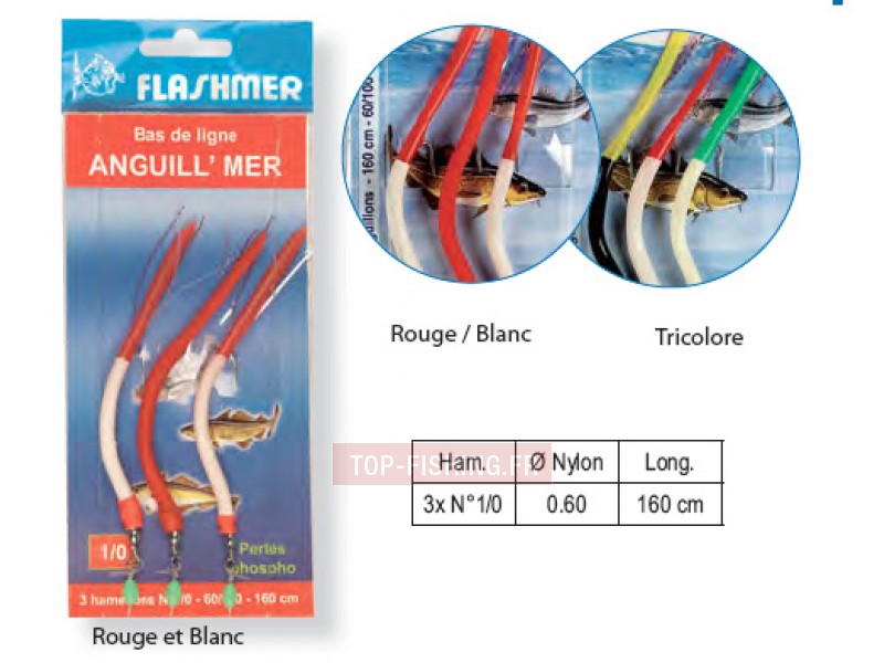 bas-de-ligne-flahsmer-anguill-mer-3-hame-ons.jpg