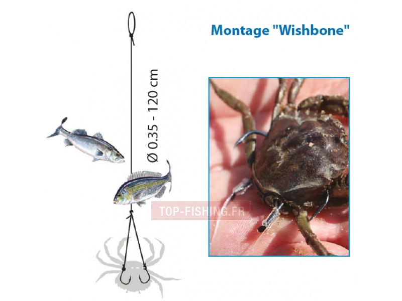 bas-de-ligne-flashmer-montage-a-crabe-2.jpg