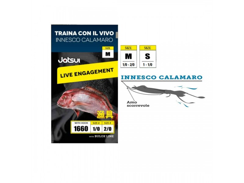 bas-de-ligne-jatsui-p-che-a-la-traine-calamar-vivant.jpg