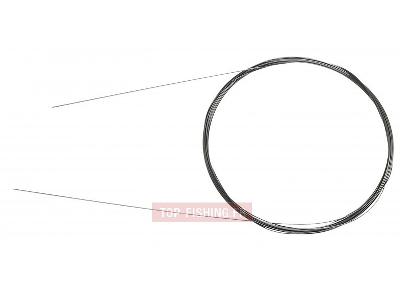 bas-de-ligne-prorex-titanium-wire-leader.jpg