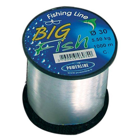bigfish.jpg