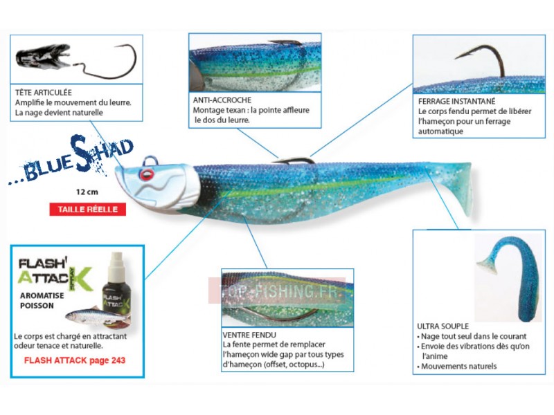 blue-shad-flashmer1.jpg