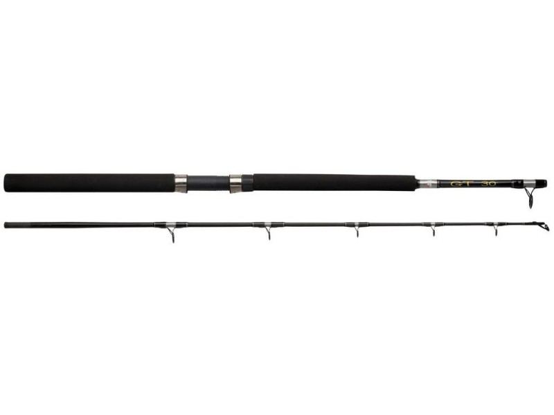 Canne Abu Garcia Gt Trolling-1