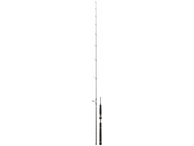 canne-daiwa-bg-seabass-3.jpg