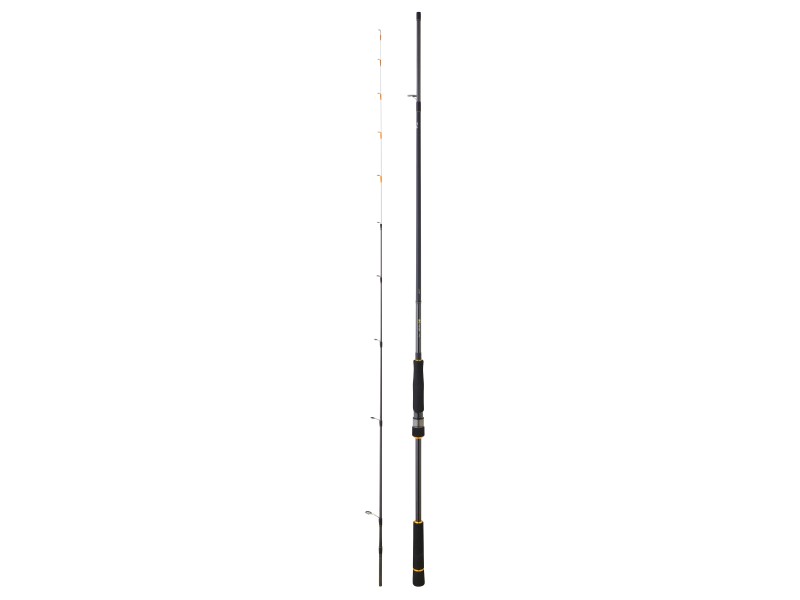 canne-daiwa-bg-tenya-game.jpg