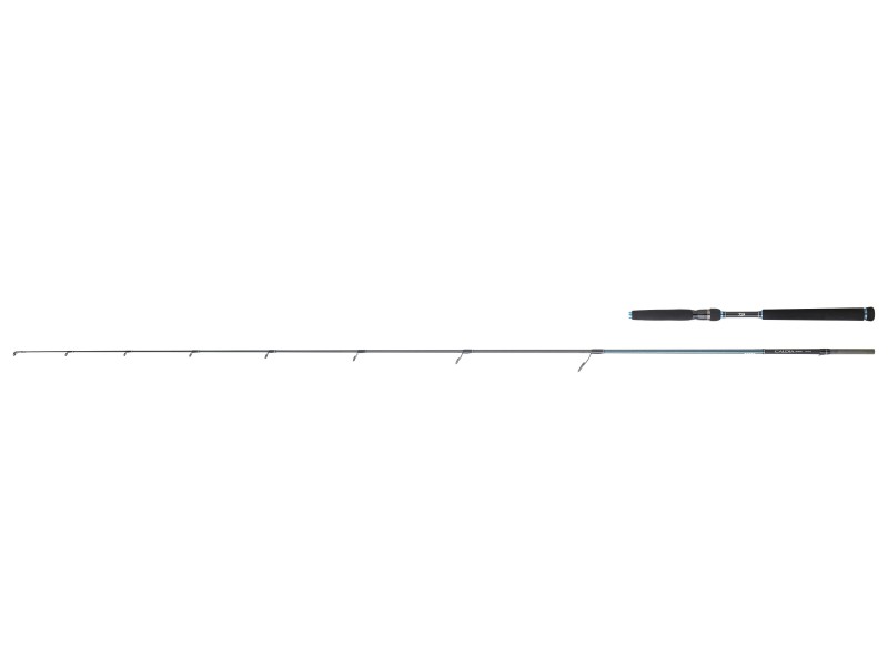 Canne Daiwa Caldia Seabass-CASB732HFSOSDF