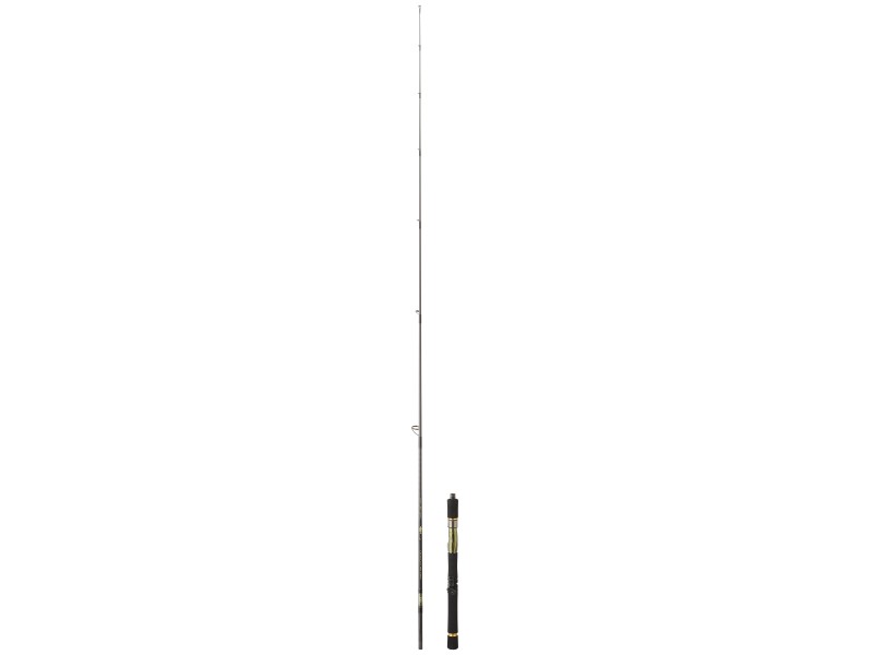 canne-daiwa-crosscast-spinning-3-crs632mhfsosdf.jpg