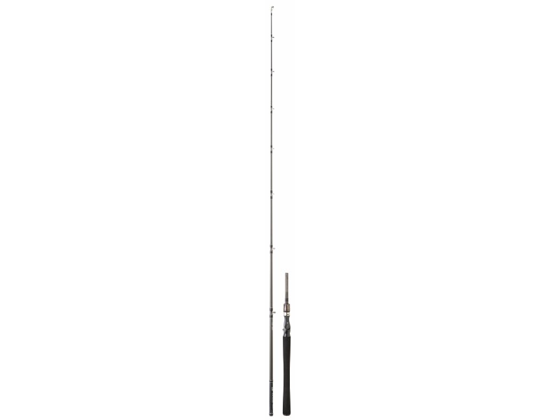 canne-daiwa-exceler-casting-10-ex602xxhfbosdf.jpg
