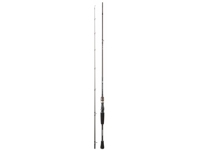 canne-daiwa-exceler-casting-2-ex662mfbdf.jpg