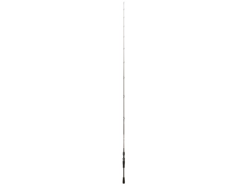 Canne Daiwa Exceler Casting-2