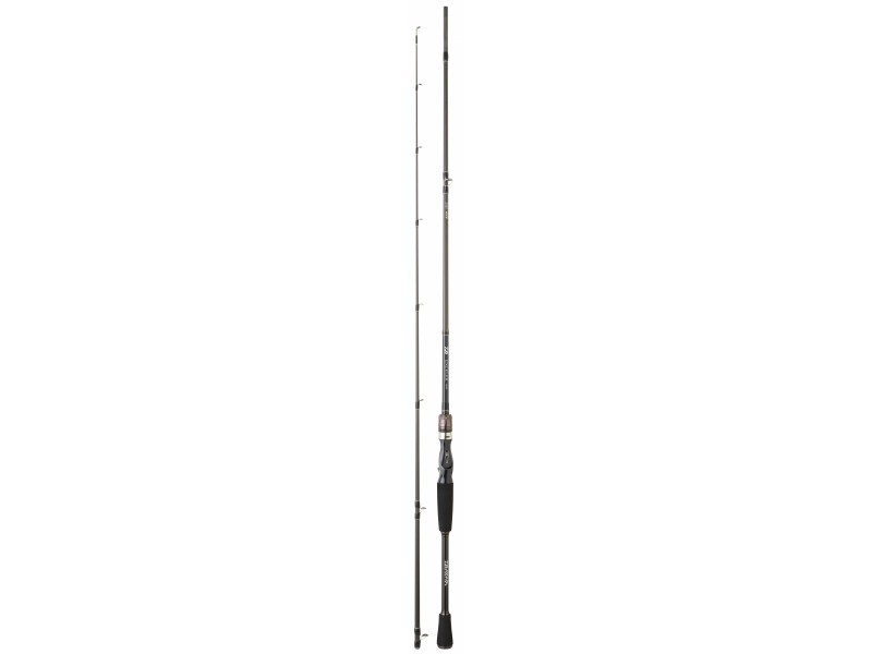 canne-daiwa-exceler-casting-7-ex682hfbdf.jpg