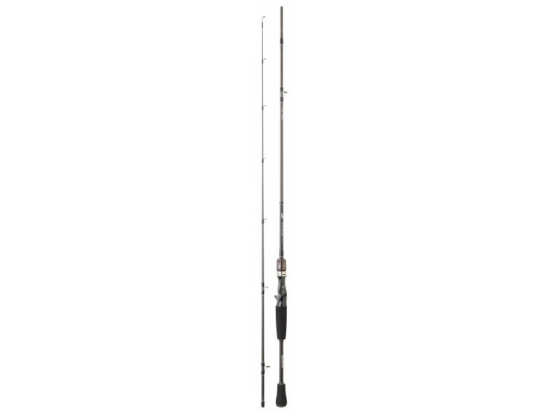 canne-daiwa-exceler-casting-ex602mfbdf.jpg