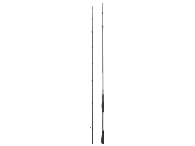 Canne Daiwa Exceler Spinning-EX802HFSEF