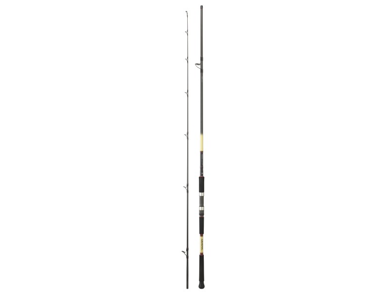 canne-daiwa-grandwave-shore-jig-2.jpg