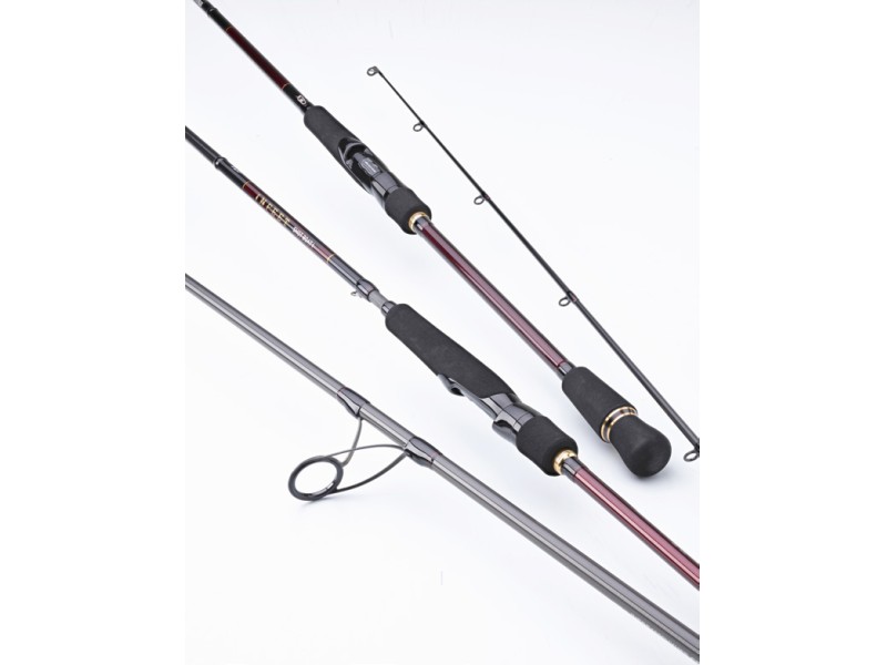 canne-daiwa-infeet-seabass-7.jpg