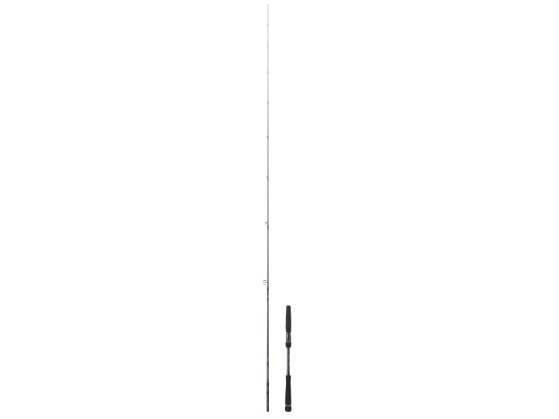 canne-daiwa-labrax-seabass.jpg