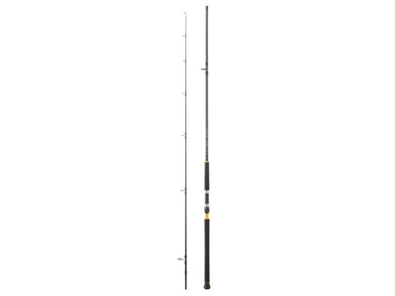 Canne Daiwa Legalis Shore Jigging 2025