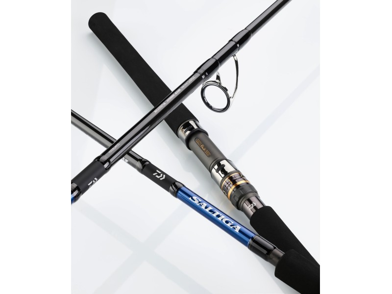 Canne Daiwa Saltiga