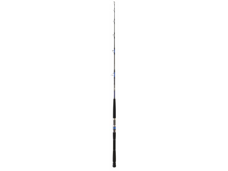 canne-daiwa-saltiga-bay-jigging-2-sgdeepex58bf.jpg