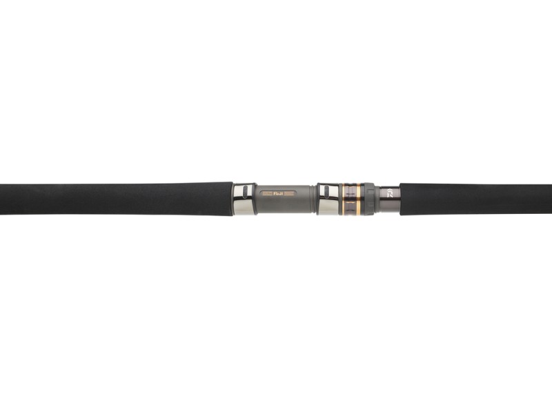 Canne Daiwa Saltiga Jigging