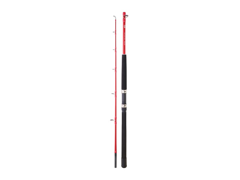 canne-daiwa-sensor-trolling-3.jpg