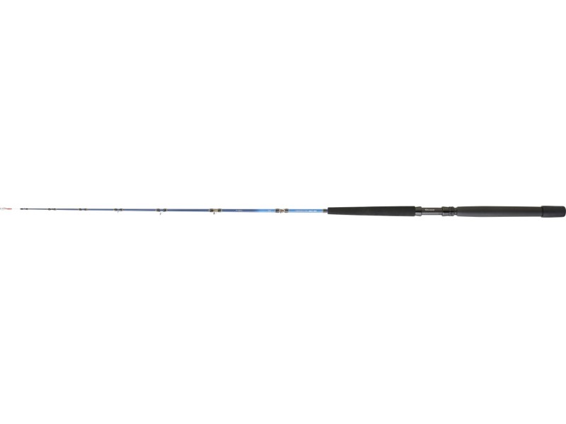 canne-daiwa-tanacom-boat-3-1.jpg